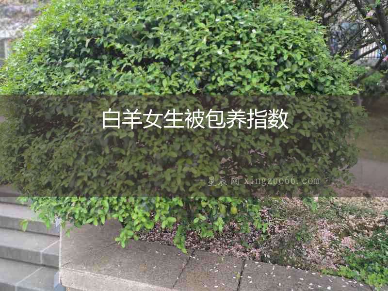 白羊女生被包養指數