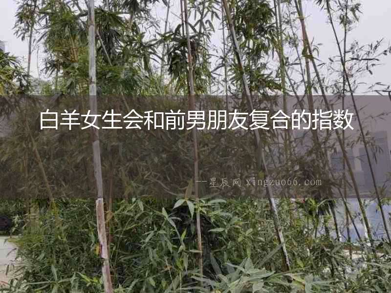 白羊女生會和前男朋友復合的指數