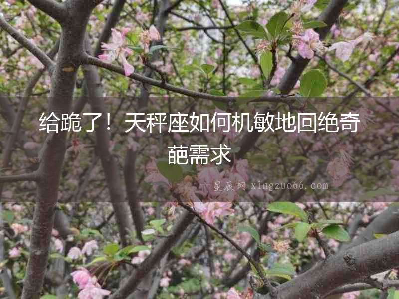 給跪了！天秤座如何機敏地回絕奇葩需求