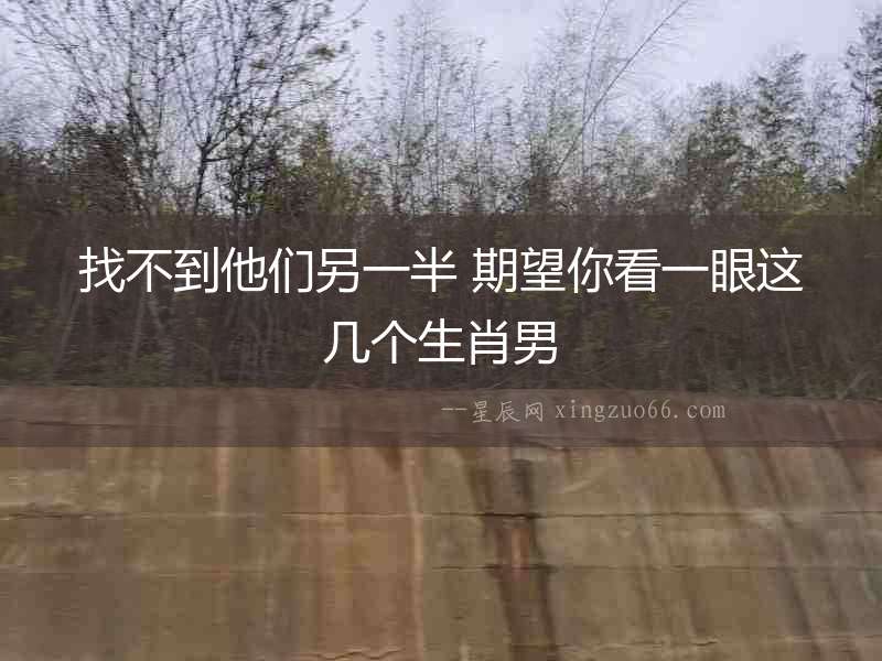 找不到他們另一半 期望你看一眼這幾個生肖男