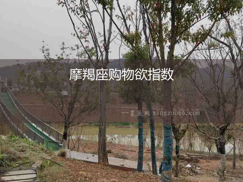 摩羯座購(gòu)物欲指數(shù)