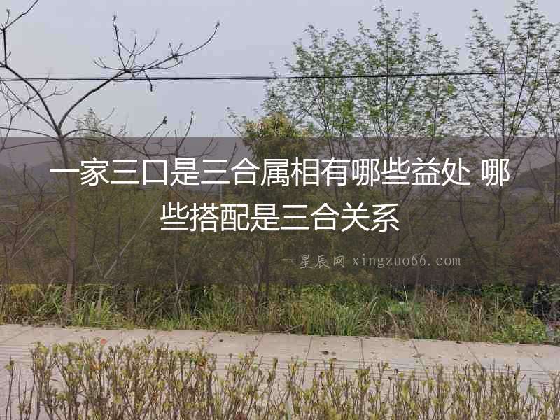 一家三口是三合屬相有哪些益處 哪些搭配是三合關(guān)系