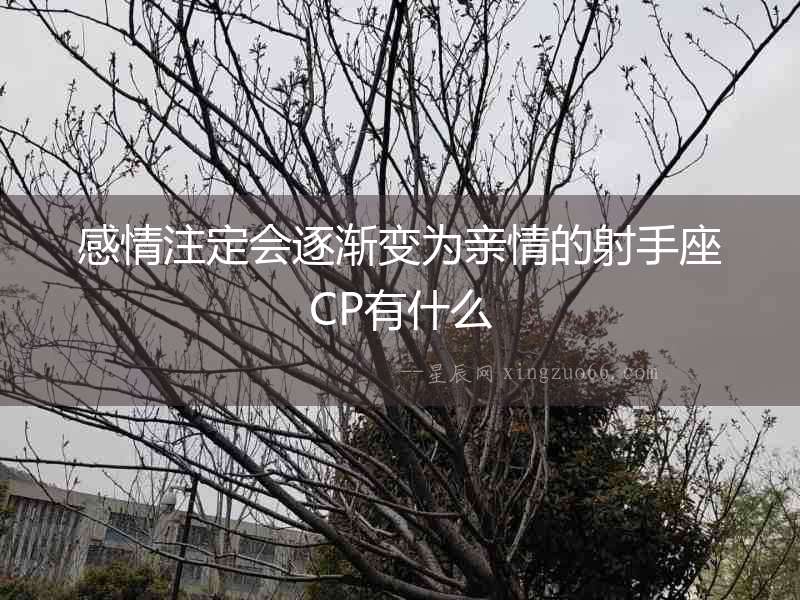 感情注定會(huì)逐漸變?yōu)橛H情的射手座CP有什么
