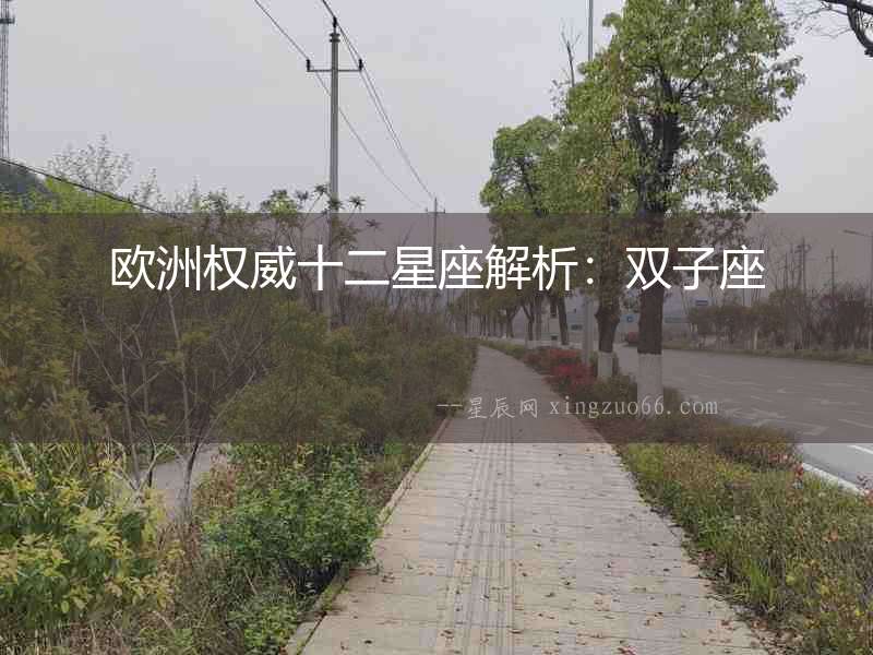 歐洲權威十二星座解析：雙子座