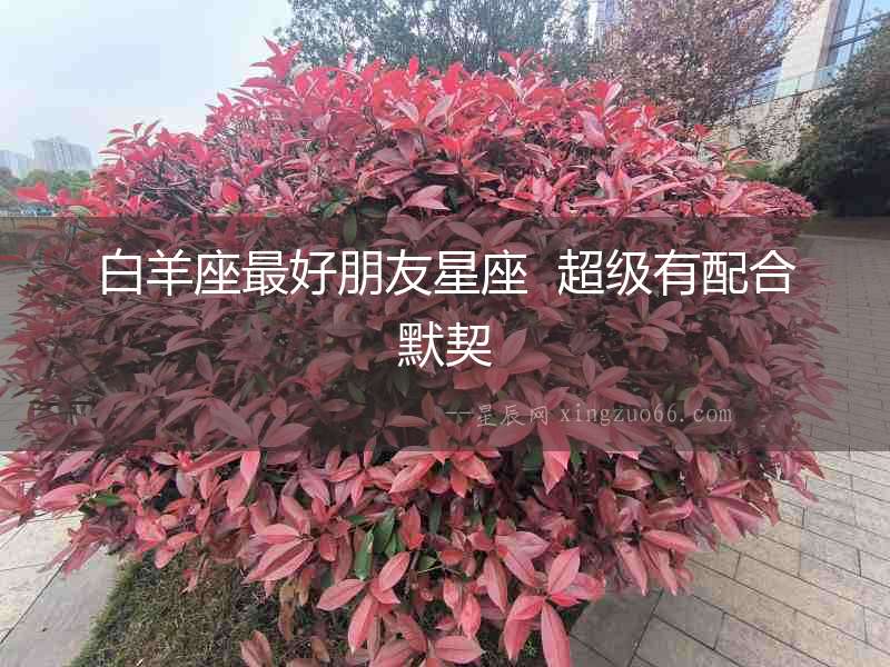 白羊座最好朋友星座  超級有配合默契