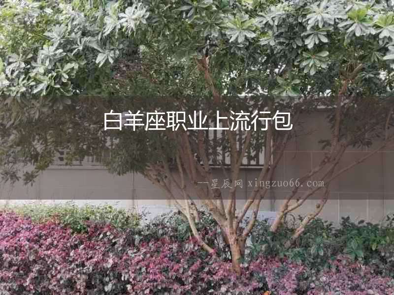 白羊座職業上流行包