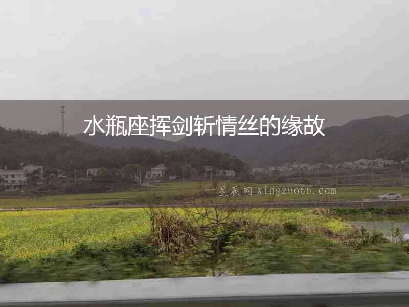 水瓶座揮劍斬情絲的緣故