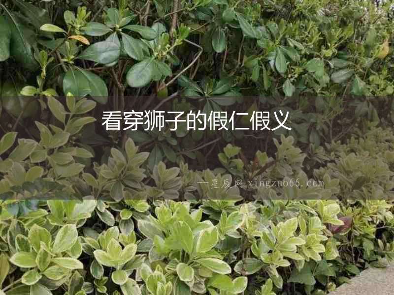 看穿獅子的假仁假義