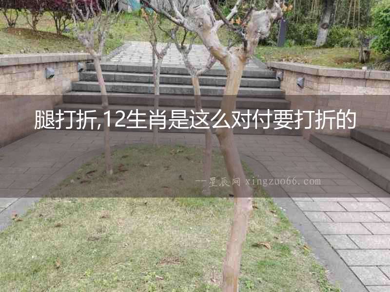 腿打折,12生肖是這么對(duì)付要打折的