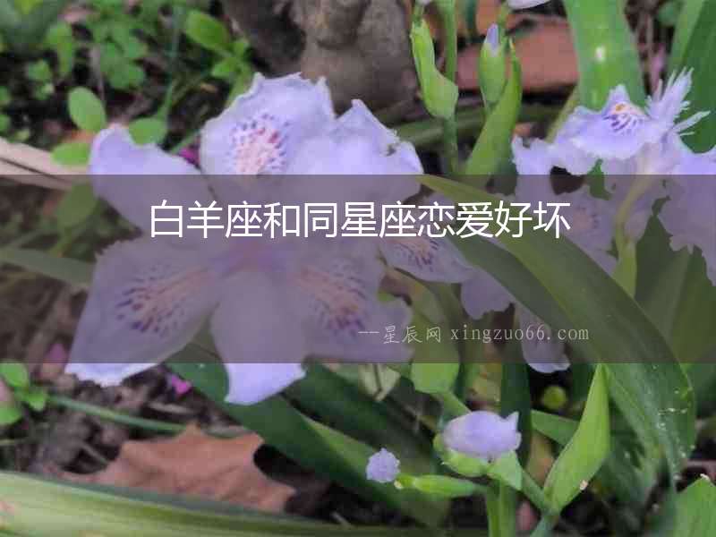白羊座和同星座戀愛好壞