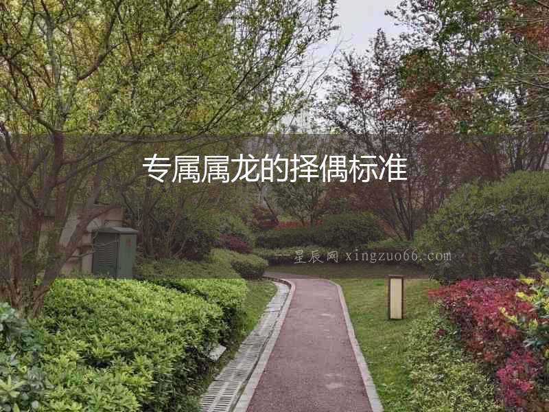 專屬屬龍的擇偶標(biāo)準(zhǔn)