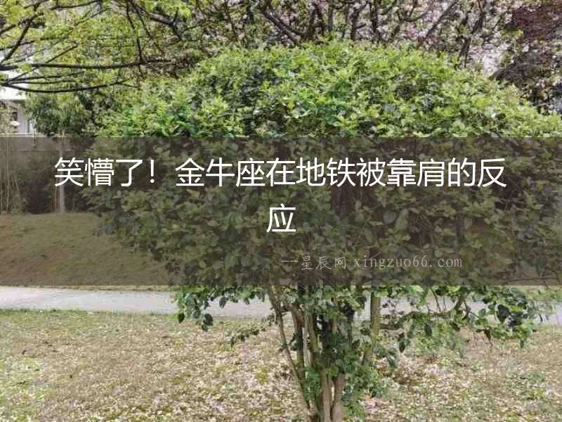笑懵了！金牛座在地鐵被靠肩的反應