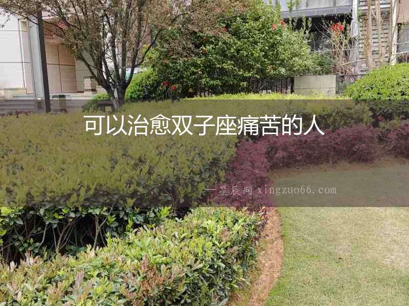 可以治愈雙子座痛苦的人