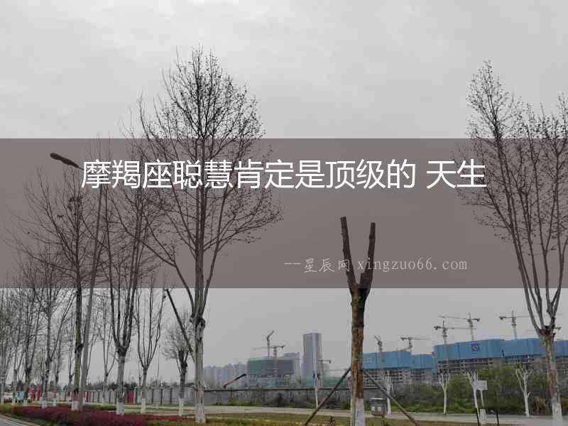 摩羯座聰慧肯定是頂級的 天生