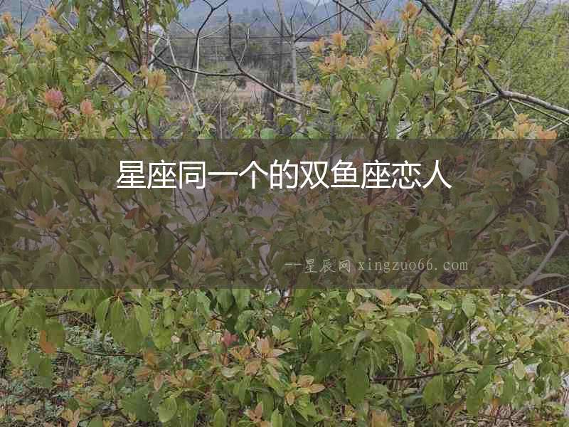 星座同一個的雙魚座戀人