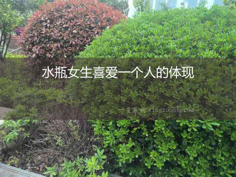 水瓶女生喜愛一個人的體現(xiàn)