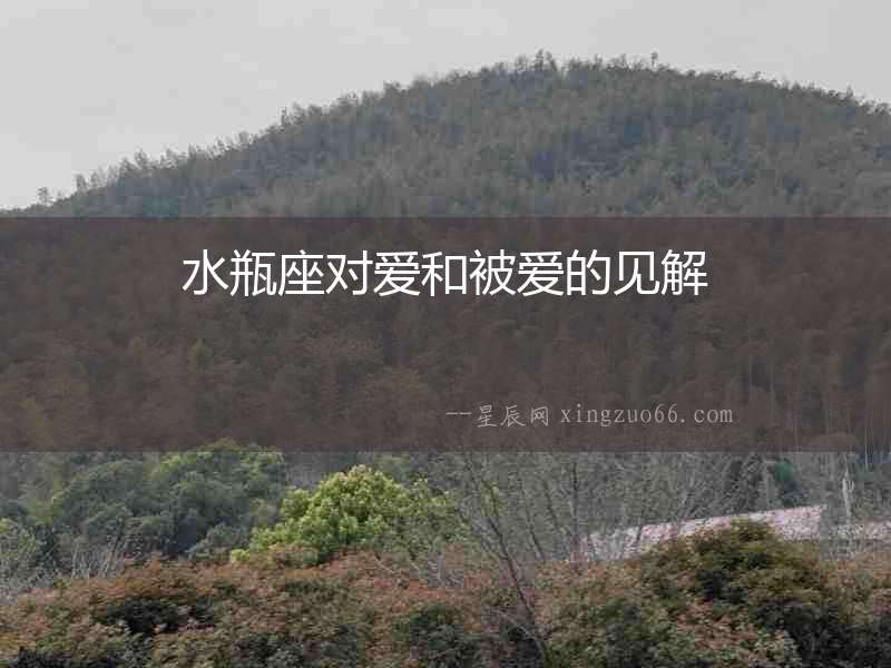 水瓶座對愛和被愛的見解