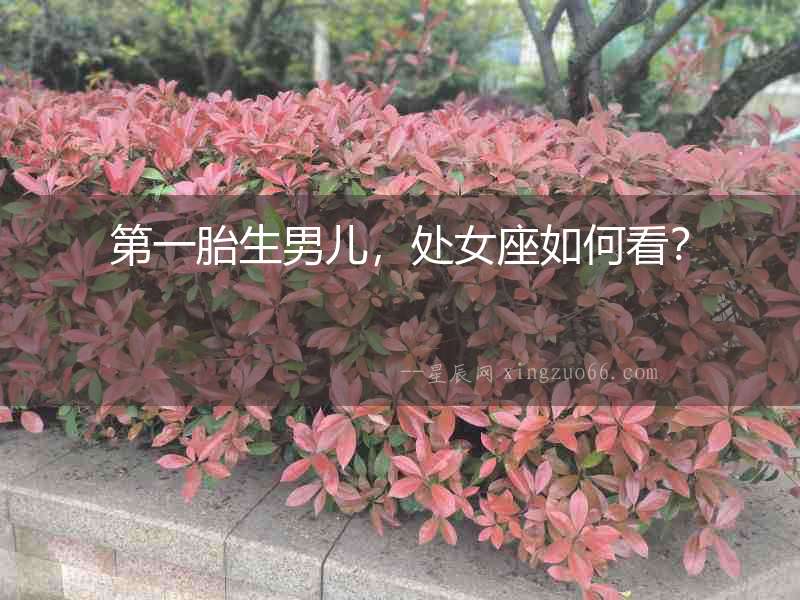 第一胎生男兒，處女座如何看？