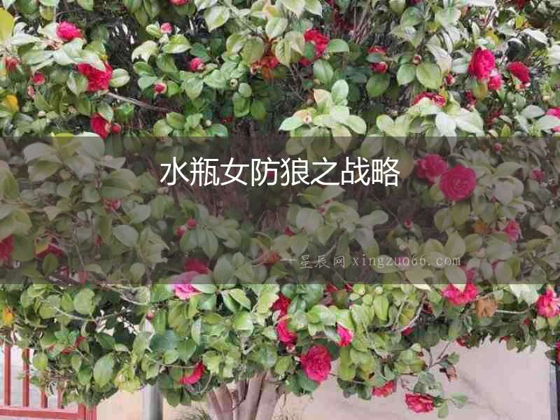水瓶女防狼之戰(zhàn)略