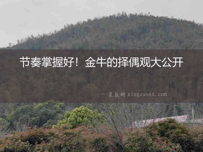 節奏掌握好！金牛的擇偶觀大公開