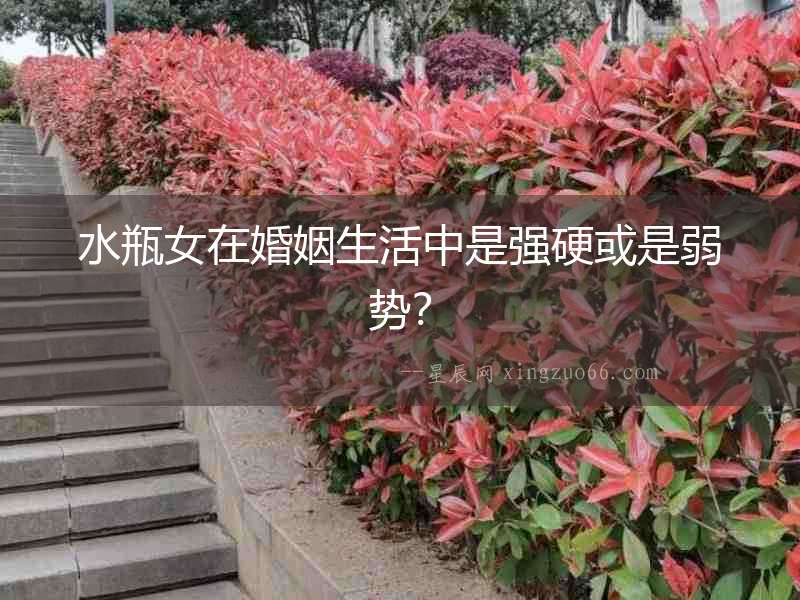 水瓶女在婚姻生活中是強硬或是弱勢？