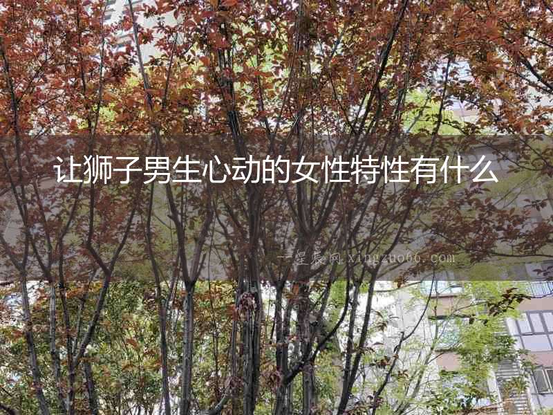 讓獅子男生心動的女性特性有什么