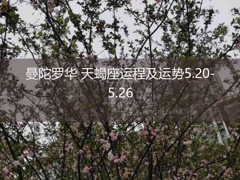 曼陀羅華 天蝎座運(yùn)程及運(yùn)勢5.20-5.26