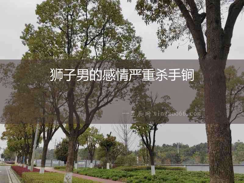 獅子男的感情嚴重殺手锏