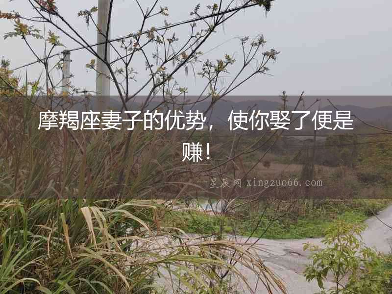 摩羯座妻子的優(yōu)勢(shì)，使你娶了便是賺！