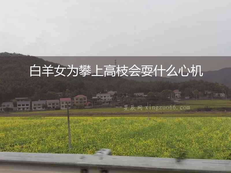 白羊女為攀上高枝會(huì)耍什么心機(jī)