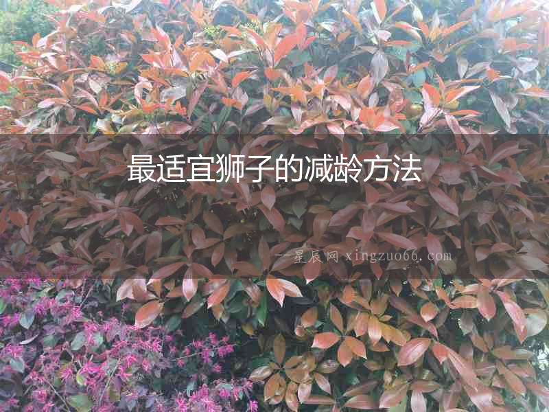 最適宜獅子的減齡方法