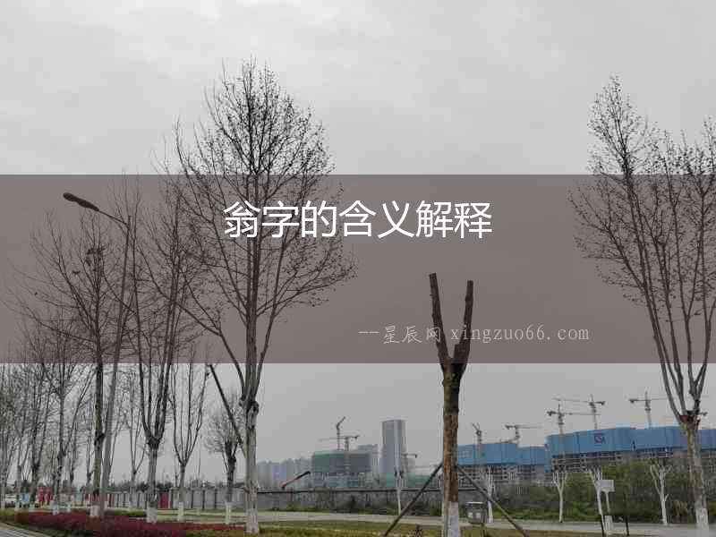翁字的含義解釋
