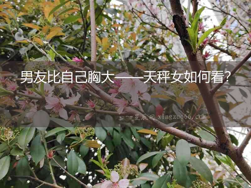 男友比自己胸大——天秤女如何看？