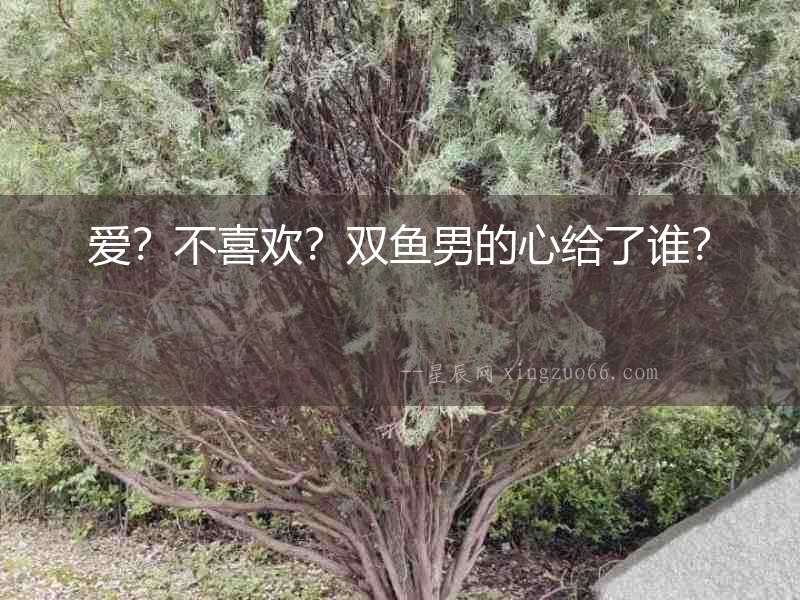 愛？不喜歡？雙魚男的心給了誰(shuí)？