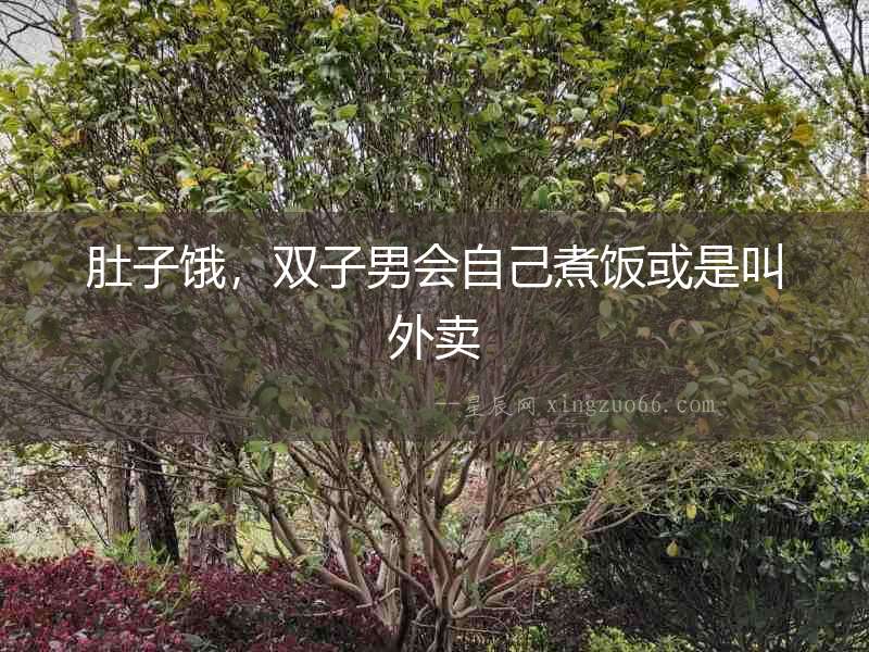 肚子餓，雙子男會自己煮飯或是叫外賣