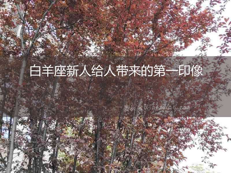 白羊座新人給人帶來的第一印像