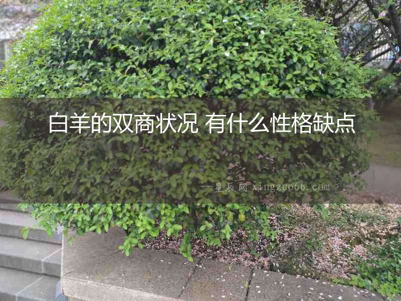 白羊的雙商狀況 有什么性格缺點