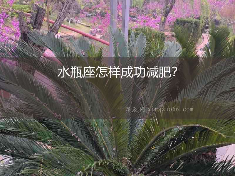 水瓶座怎樣成功減肥？