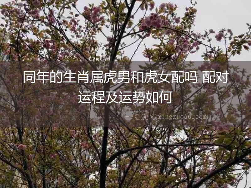 同年的生肖屬虎男和虎女配嗎 配對運程及運勢如何