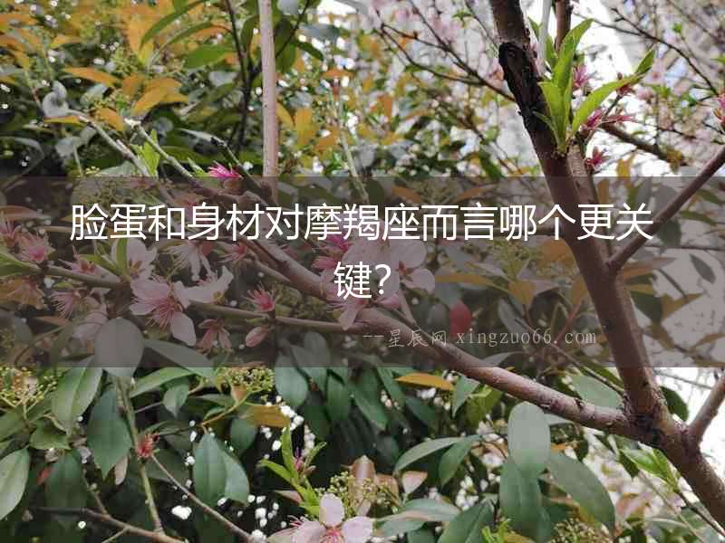 臉蛋和身材對摩羯座而言哪個更關(guān)鍵？