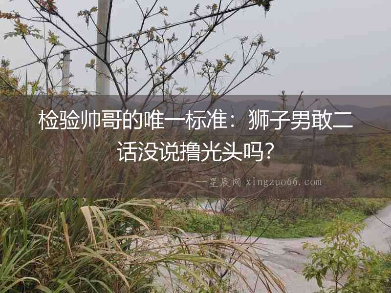 檢驗(yàn)帥哥的唯一標(biāo)準(zhǔn)：獅子男敢二話沒(méi)說(shuō)擼光頭嗎？