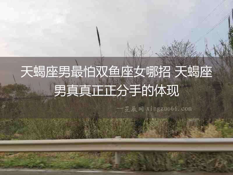 天蝎座男最怕雙魚座女哪招 天蝎座男真真正正分手的體現