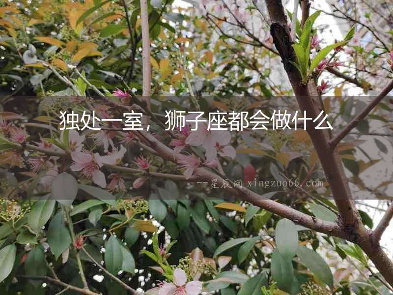 獨處一室，獅子座都會做什么