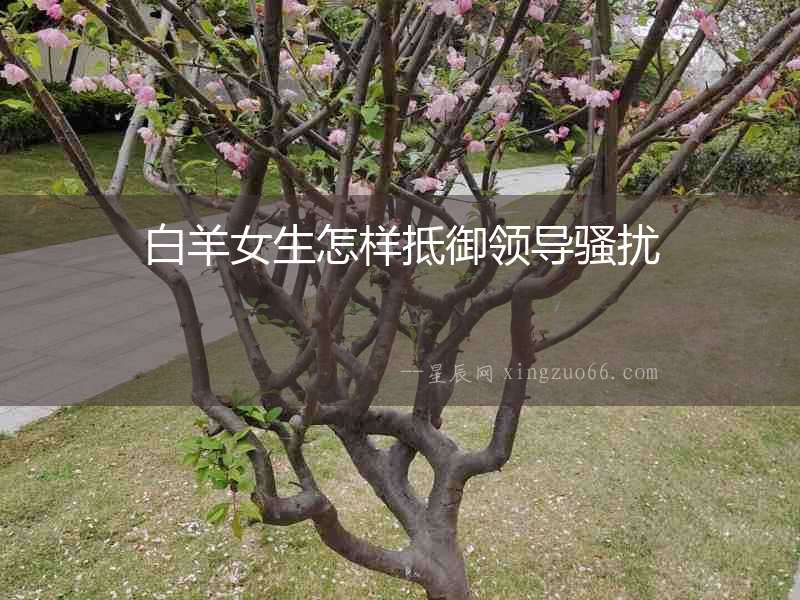 白羊女生怎樣抵御領(lǐng)導(dǎo)騷擾