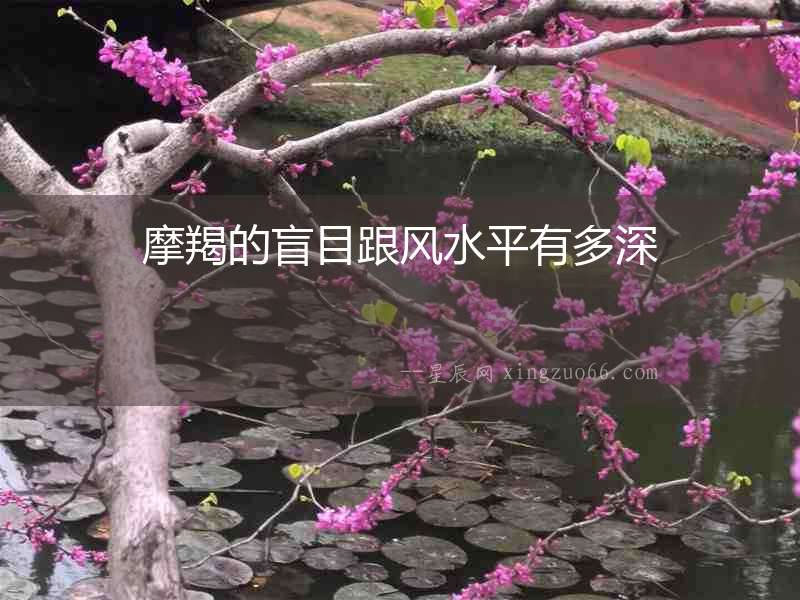 摩羯的盲目跟風(fēng)水平有多深
