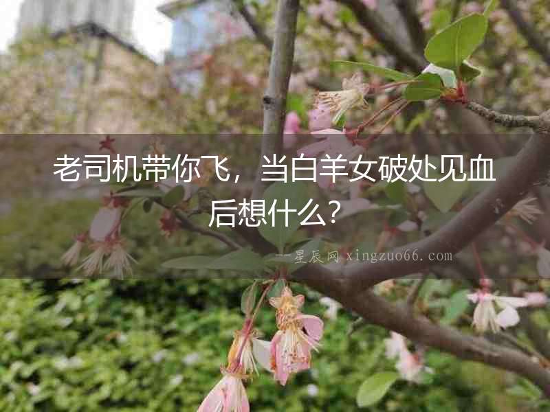 老司機帶你飛，當白羊女破處見血后想什么？