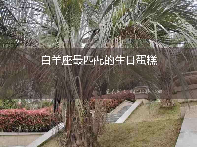 白羊座最匹配的生日蛋糕