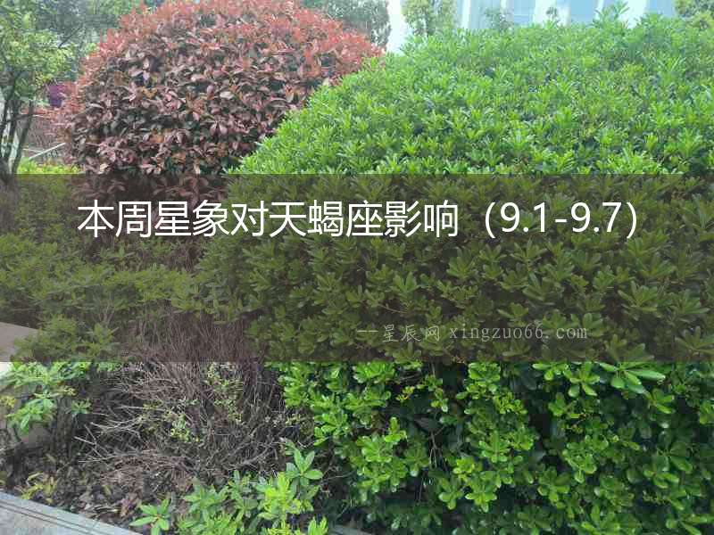 本周星象對(duì)天蝎座影響（9.1-9.7）