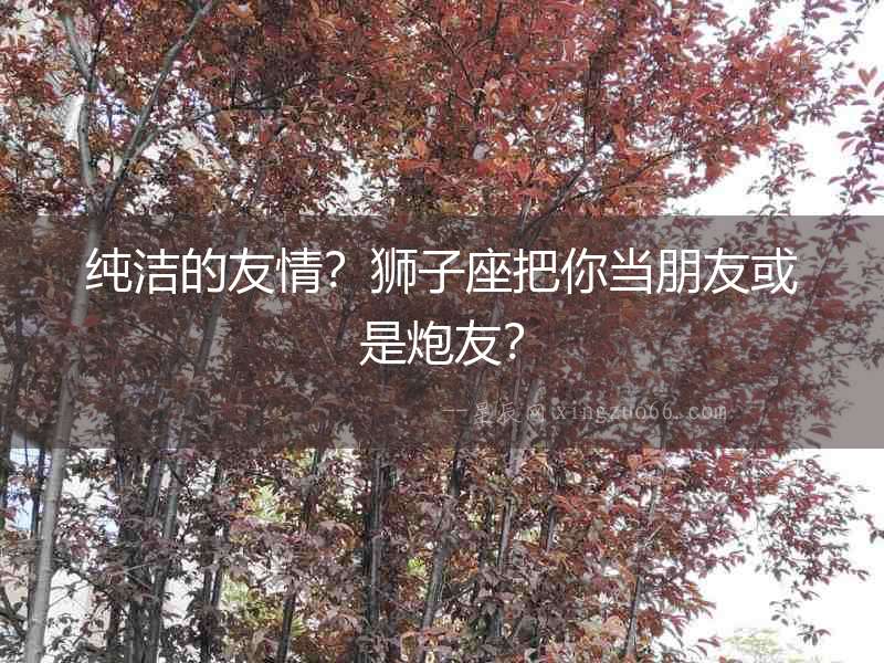 純潔的友情？獅子座把你當朋友或是炮友？