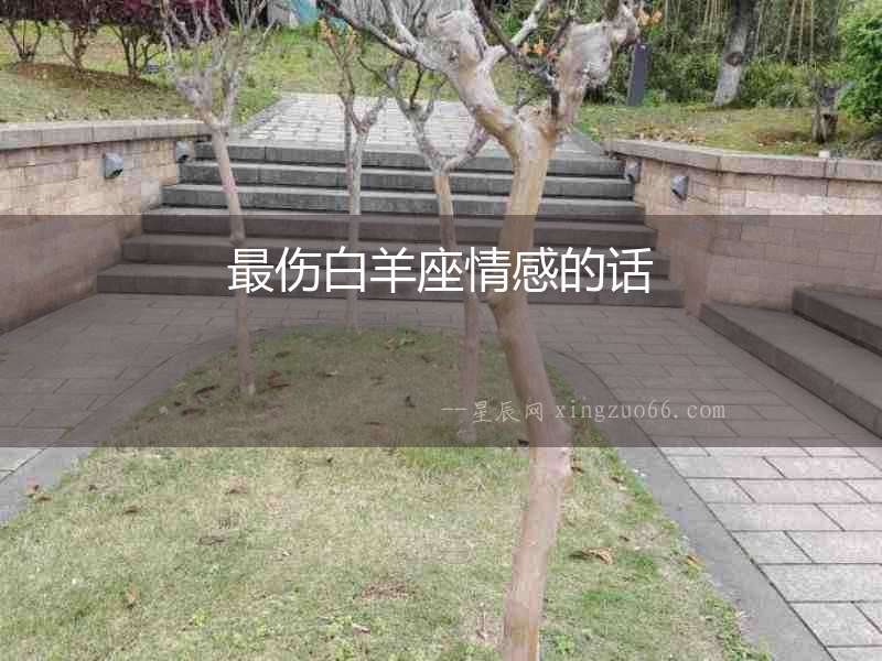 最傷白羊座情感的話
